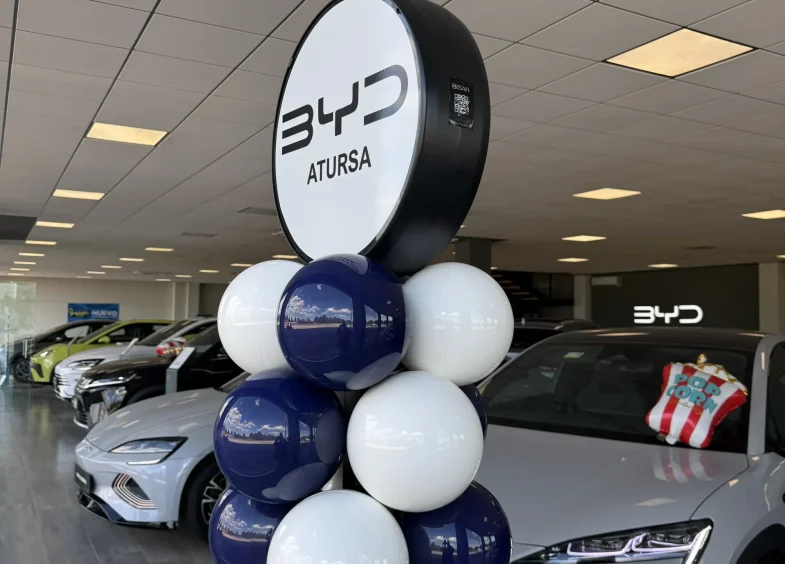 BYD Atursa Valencia Estructura Bisan con Display 8